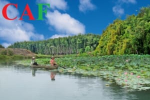 Có nên đầu tư ở tỉnh Long An