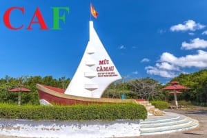 Công ty dịch vụ kiểm toán độc lập uy tín ở tỉnh CÀ MAU