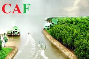 Dịch vụ kiểm toán xây dựng cơ bản tỉnh Cà Mau