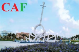 Thuê kiểm toán dịch vụ ở tỉnh Bạc Liêu