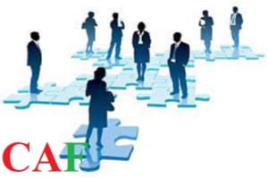 Chi nhánh công ty là gì