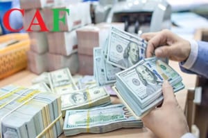 FED nâng lãi xuất sẽ ảnh hưởng như thế nào