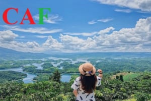 Kiểm toán BCTC uy tín đấu thầu ở Đăk Nông