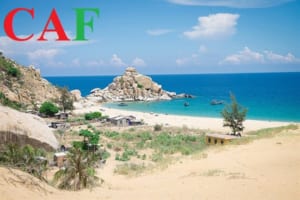 Kiểm toán báo cáo tài chính để bổ sung hồ sơ vay ngân hàng ở Ninh Thuận