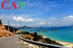 Kiểm toán đấu thầu tỉnh Ninh Thuận