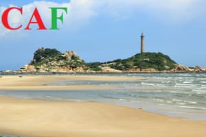 Kiểm toán độc lập uy tín tại tỉnh Bình Thuận