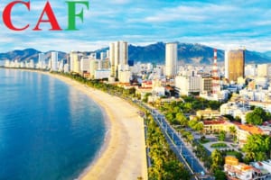 Thuê công ty kiểm toán dịch vụ ở tỉnh Khánh Hòa