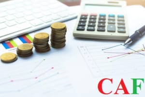 Thuê kiểm toán bctc để đấu thầu tỉnh Gia Lai  