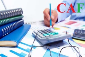 VN30 là gì nhóm các cổ phiếu trong rổ VN30 là gì