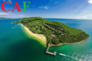 Kiểm toán bctc cho mục đích vay ngân hàng tại Nha Trang Khánh Hòa