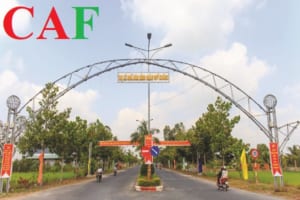 Báo giá kiểm toán tại thị xã Ngã Năm tỉnh Sóc Trăng