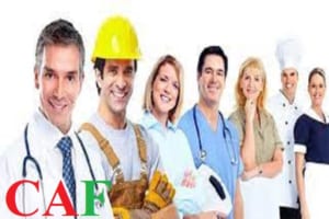 Cách làm lại giấy phép lao động do thay đổi số hộ chiếu người nước ngoài