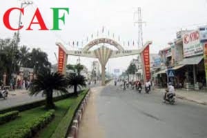 Công ty dịch vụ kiểm toán độc lập tại Tp Mỹ Tho tỉnh Tiền Giang