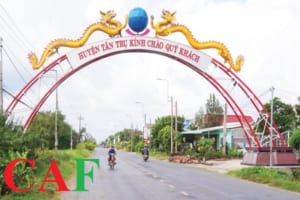 Công ty kiểm toán huyện Tân Trụ tỉnh Long An