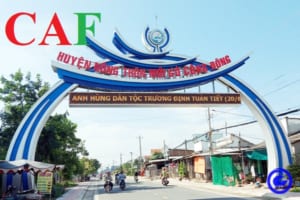 Dịch vụ báo cáo thuế và kiểm toán độc lập tại Gò Công tỉnh Tiền Giang