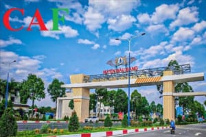 Dịch vụ kiểm toán tại Bàu Bàng tỉnh Bình Dương