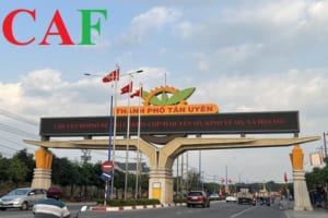 Kiểm toán báo cáo tc uy tín giá tốt tại Tân Uyên tỉnh Bình Dương