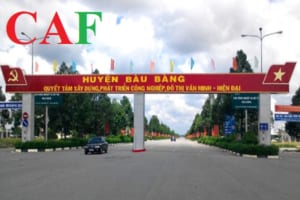 Những đơn vị kiểm toán báo cáo thuế uy tín tại Bàu Bàng Bình Dương