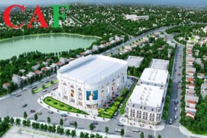 Phí thuê dịch vụ kiểm toán uy tín tại Thủ Thừa tỉnh Long An giá tốt