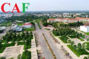 Thuê dịch vụ báo cáo thuế ở Đức Huệ uy tín giá tốt