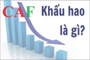 Cách hạch toán trích khấu hao tài sản cố định