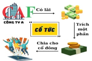 Khi chia lợi nhuận cho các thành viên công ty thì hạch toán thế nào