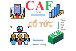 Khi công ty nhận cổ tức thì hạch toán như thế nào