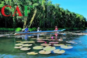 Báo cáo thuế dịch vụ tại Tân An uy tín giá tốt