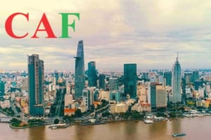 Dịch vụ kiểm toán ở quận 1