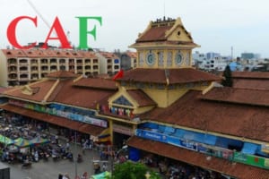 Thành lập hộ kinh doanh tại quận 6 HCM phí thế nào