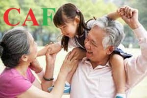 Đăng ký giảm trừ gia cảnh cháu nội và ngoại được không