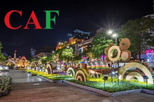 Bảng phí dịch vụ thành lập doanh nghiệp tại quận 1 Tp Hcm