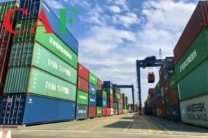 Customs clearance là gì