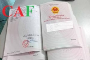 Các loại đất không được phép xây dựng cập nhật mới nhất năm 2024