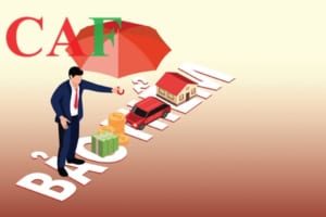 Công ty có bắt buộc phải đóng bảo hiểm xã hội cho người lao động