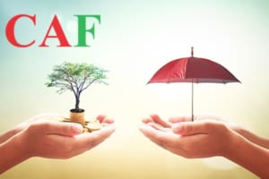 Công ty không đóng bảo hiểm xã hội cho người lao động bị phạt như thế nào