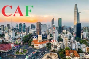 Công ty kế toán báo cáo thuế quận 1 thành phố Hồ Chí Minh