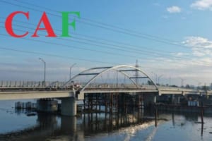 Dịch vụ báo cáo thuế tại Tân An chuyên nghiệp