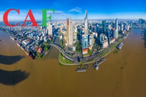 Dịch vụ báo cáo thuế tại quận 1 TPHCM