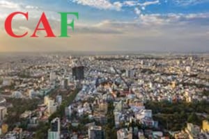 Dịch vụ báo cáo thuế tại quận 3 TPHCM