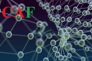 Nhựa Polymer là gì và ứng dụng