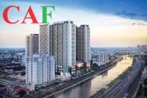 Phí thuê công ty kiểm toán tại quận 4 Hcm