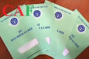 Tỷ lệ các khoản trích bảo hiểm theo lương năm 2024 mới nhất