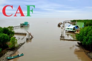 Báo giá dịch vụ kiểm toán tại huyện Ngọc Hiển Cà Mau