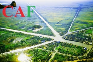 Báo phí kiểm toán tại Ngã Bảy tỉnh Hậu Giang