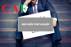 Cách làm thủ tục nhận tiền bảo hiểm thất nghiệp mới nhất năm 2024