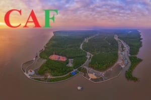 Công ty dịch vụ kiểm toán độc lập ở thành phố Cà Mau