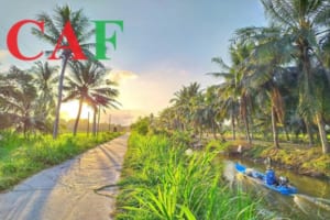 Công ty kiểm toán bctc ở huyện Mỏ Cày Bắc tỉnh Bến Tre