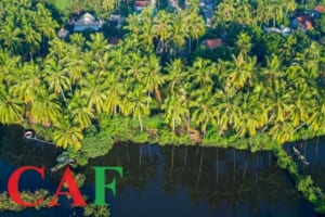 Công ty kiểm toán độc lập ở thành phố Bến Tre