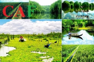 Công ty kiểm toán ở Năm Căn Cà Mau